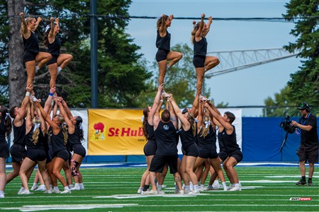 RSEQ 2025 - Football Universitaire - Carabins vs Stingers - Ambiance & Cheerleading