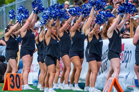 RSEQ 2025 - Football Universitaire - Carabins vs Stingers - Ambiance & Cheerleading