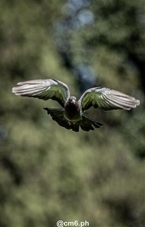 URT 2025 - Universitario vs Tarcos