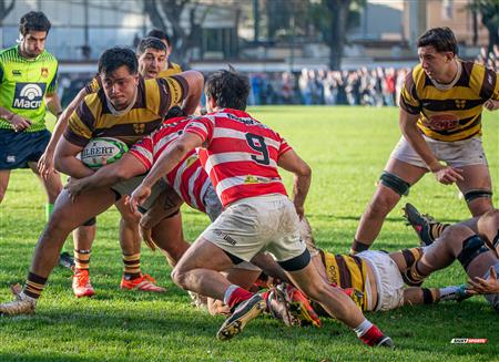 URBA 2025 - Top 12 Sup - Belgrano Athletic (35) vs (17) Asociacion Alumni