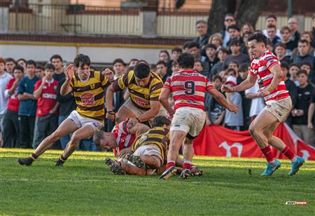 URBA 2025 - Top 12 Sup - Belgrano Athletic (35) vs (17) Asociacion Alumni