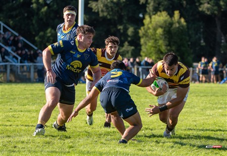 URBA 2025 - Top 12 - 1ra fecha -  La Plata (28) vs (44) Belgrano Athletic