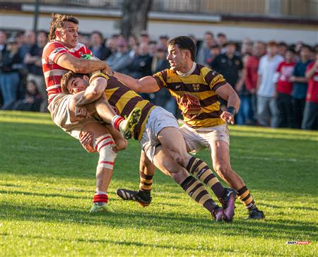 URBA 2025 - Top 12 Sup - Belgrano Athletic (35) vs (17) Asociacion Alumni