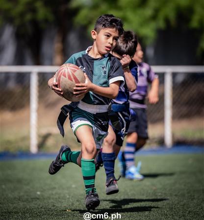 URT 2025 - Inferiores - Universitario vs Tucuman Rugby