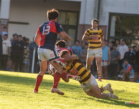 URBA 2025 - Top 12 - 5ta fecha - Belgrano Athletic (52) vs (17) San Luis