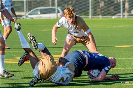 RQ 2025 - LPR3 M - Montréal Phénix Rugby (42) vs (5) Sainte-Anne-De-Bellevue RFC - Match