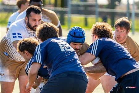 RQ 2025 - LPR3 M - Montréal Phénix Rugby (42) vs (5) Sainte-Anne-De-Bellevue RFC - Match