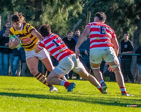 URBA 2025 - Top 12 - 3ra fecha - Sup -  Alumni (19) vs (35) Belgrano Athletic