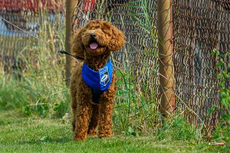 RQ 2025 - SL M - TMR vs Parc Olympique