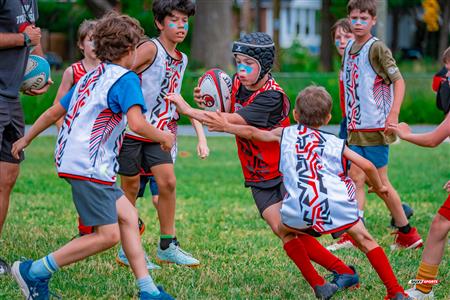 2025 Stade Toulousain - Academie Rugby - Dragons NDG