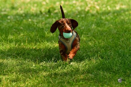 RQ 2025 - LP2 F - Rugby Club de Montréal vs TMR