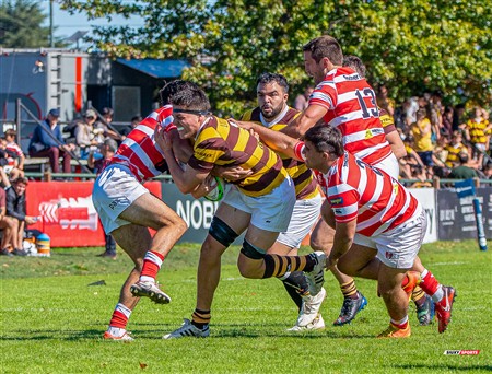 URBA 2025 - Top 12 - 3ra fecha - Inter -  Alumni (33) vs (24) Belgrano Athletic