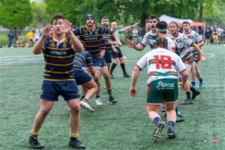 RQ 2025 - Super Ligue M - Rugby Club de Montréal (15) vs (31) Town Mount Royal - 2nd half - Reel Juan