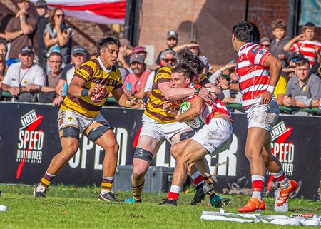 URBA 2025 - Top 12 - 3ra fecha - Sup -  Alumni (19) vs (35) Belgrano Athletic