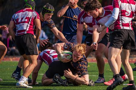 RSEQ 2025 - Rugby M - Brébeuf vs André-Laurendeau