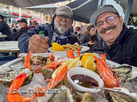FFR 2025 - European Rugby Champions Cup 24-25 RC Toulonnais vs Stade Toulousain
