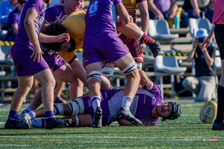 RSEQ 2025 - Rugby M - Concordia vs Bishop's