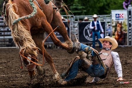Rodéo Sainte-Catherine-de-la-Jacques-Cartier