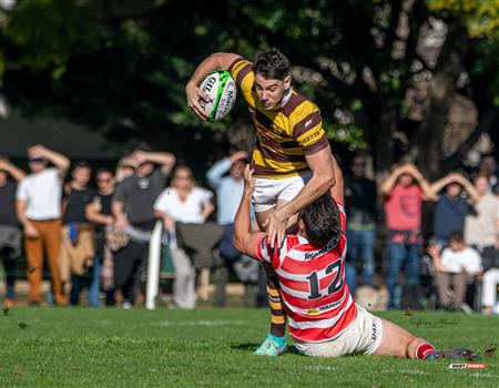 URBA 2025 - Top 12 Sup - Belgrano Athletic (35) vs (17) Asociacion Alumni