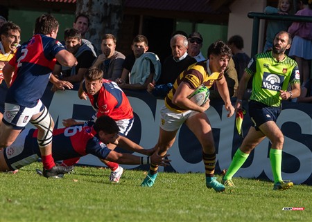 URBA 2025 - Top 12 - 5ta fecha - Belgrano Athletic (52) vs (17) San Luis