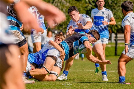 URBA 2025 -1raB - Fecha 4 - Lujan (17) vs (31) Liceo Naval