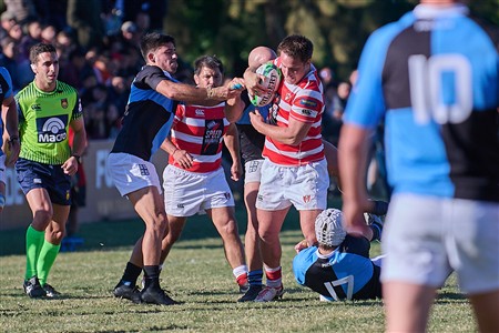 URBA 2025 - Top 12 - 1ra fecha -  Alumni (34) vs (26) CUBA