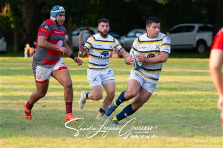 URT 2025 - Lince Rugby Club (12) vs (29)Tucuman Lawn Tennis Club