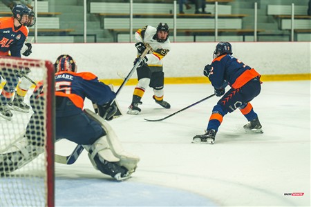 RSEQ 2025 - Hockey M - André Laurendeau (5) vs (4) Cégep de Thetford