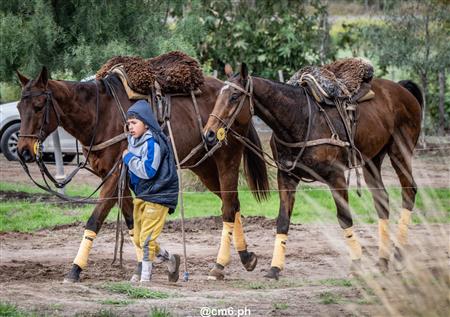 Torneo Nacional de Pato dia de la Independencia Argentina