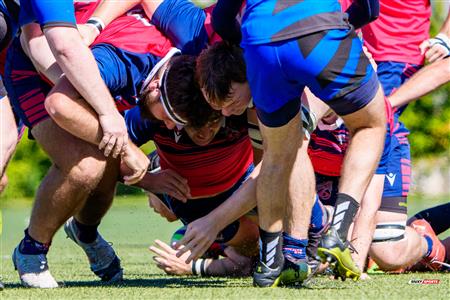 RSEQ 2025 - Rugby M - Université de Montréal vs ETS - Match
