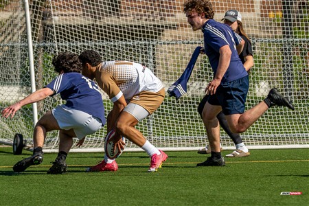 RQ 2025 - LPR3 M - Montréal Phénix Rugby (42) vs (5) Sainte-Anne-De-Bellevue RFC - Match