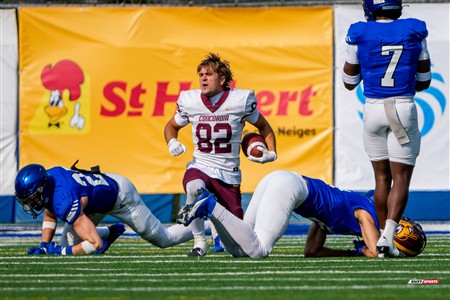 RSEQ 2025 - Football Universitaire - Carabins de Montréal (41) vs (14) Stingers de Concordia - Match