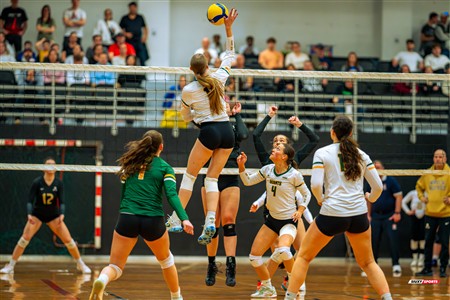 RSEQ 2025 - Volleyball F D2 - Championnat de Conférence - Saint-Jean (2) vs (0) Valleyfield