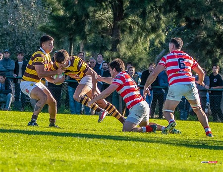 URBA 2025 - Top 12 - 3ra fecha - Sup -  Alumni (19) vs (35) Belgrano Athletic