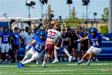 RSEQ 2025 - Football Universitaire - Carabins de Montréal (41) vs (14) Stingers de Concordia - Match