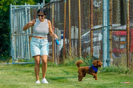 RQ 2025 - SL M - TMR vs Parc Olympique