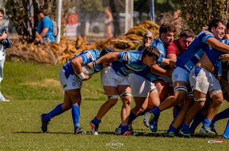 URBA 2025 -1raB - Fecha 4 - Lujan (17) vs (31) Liceo Naval