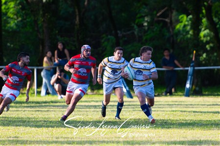 URT 2025 - Lince Rugby Club (12) vs (29)Tucuman Lawn Tennis Club
