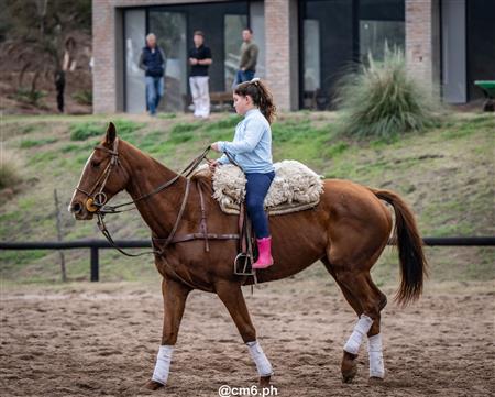 Torneo Nacional de Pato dia de la Independencia Argentina