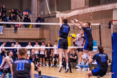 RSEQ 2025 - Volleyball M - Université de Montréal (3) vs (0) UNB