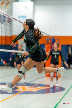 RSEQ 2025 - Volleyball F D1 - André Laurendeau (3) vs (1) Bois-de-Boulogne - Reel BB