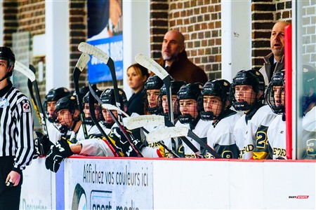 RSEQ 2025 - Hockey M - André Laurendeau (5) vs (4) Cégep de Thetford