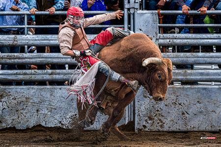 Rodéo Sainte-Catherine-de-la-Jacques-Cartier