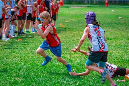 2025 Stade Toulousain - Academie Rugby - Dragons NDG