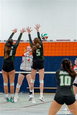 RSEQ 2025 - Volleyball F D1 - André Laurendeau (3) vs (1) Bois-de-Boulogne - Reel AL