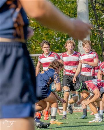 RSEQ Collégial 2025 - Brébeuf VS André Laurendeau