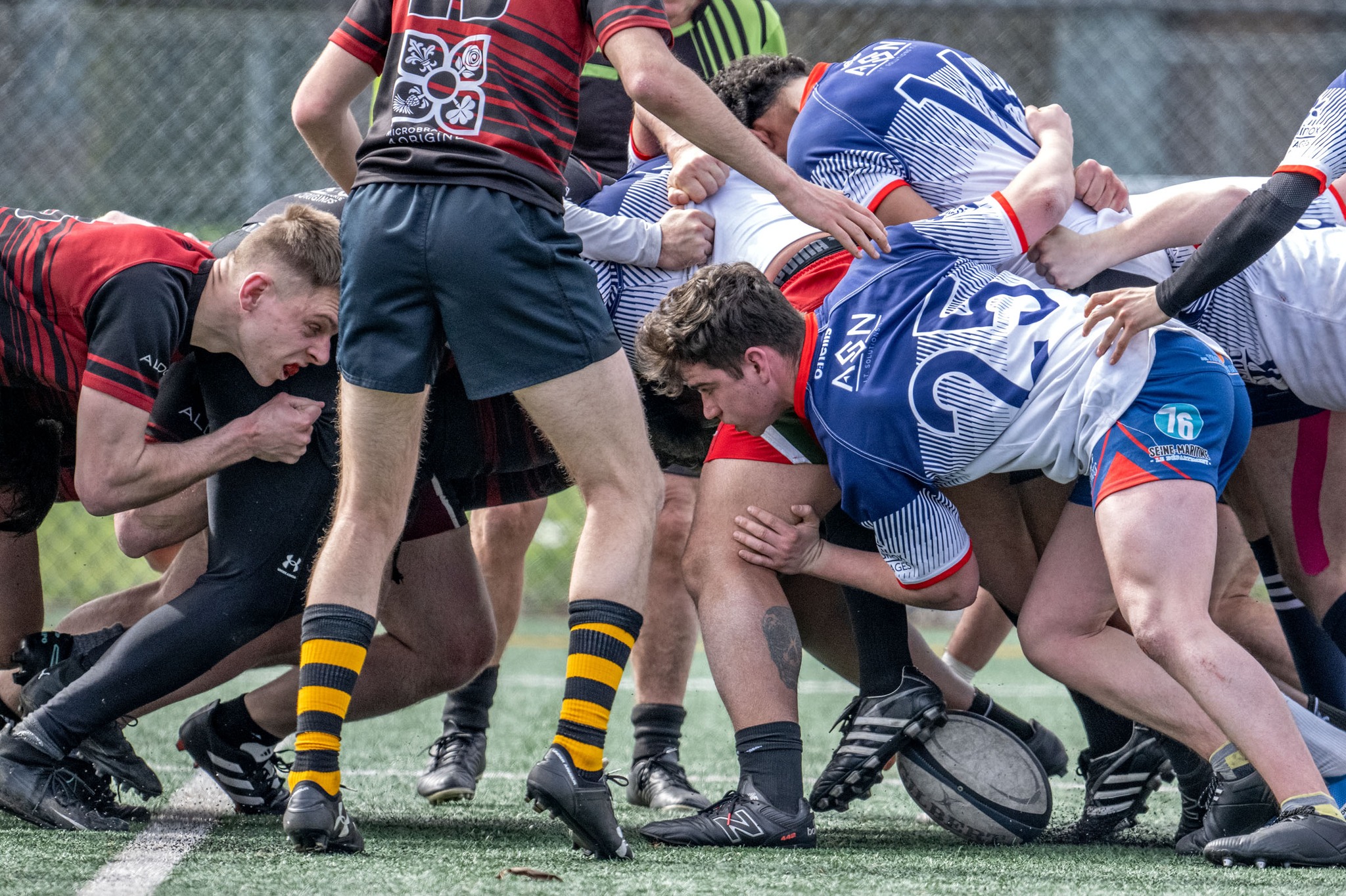  Rugby Club de Montréal - Westmount Rugby Club - Rugby - RQ 2024 - LPR2 - RCMXV vs Westmount 2 (#RQ24LP22RCMXW) Photo by: Rejean Poudrette | Siuxy Sports 2024-04-27
