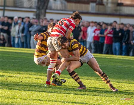 URBA 2025 - Top 12 Sup - Belgrano Athletic (35) vs (17) Asociacion Alumni