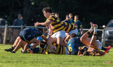 URBA 2025 - Top 12 - 1ra fecha -  La Plata (28) vs (44) Belgrano Athletic