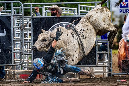 Rodéo Sainte-Catherine-de-la-Jacques-Cartier